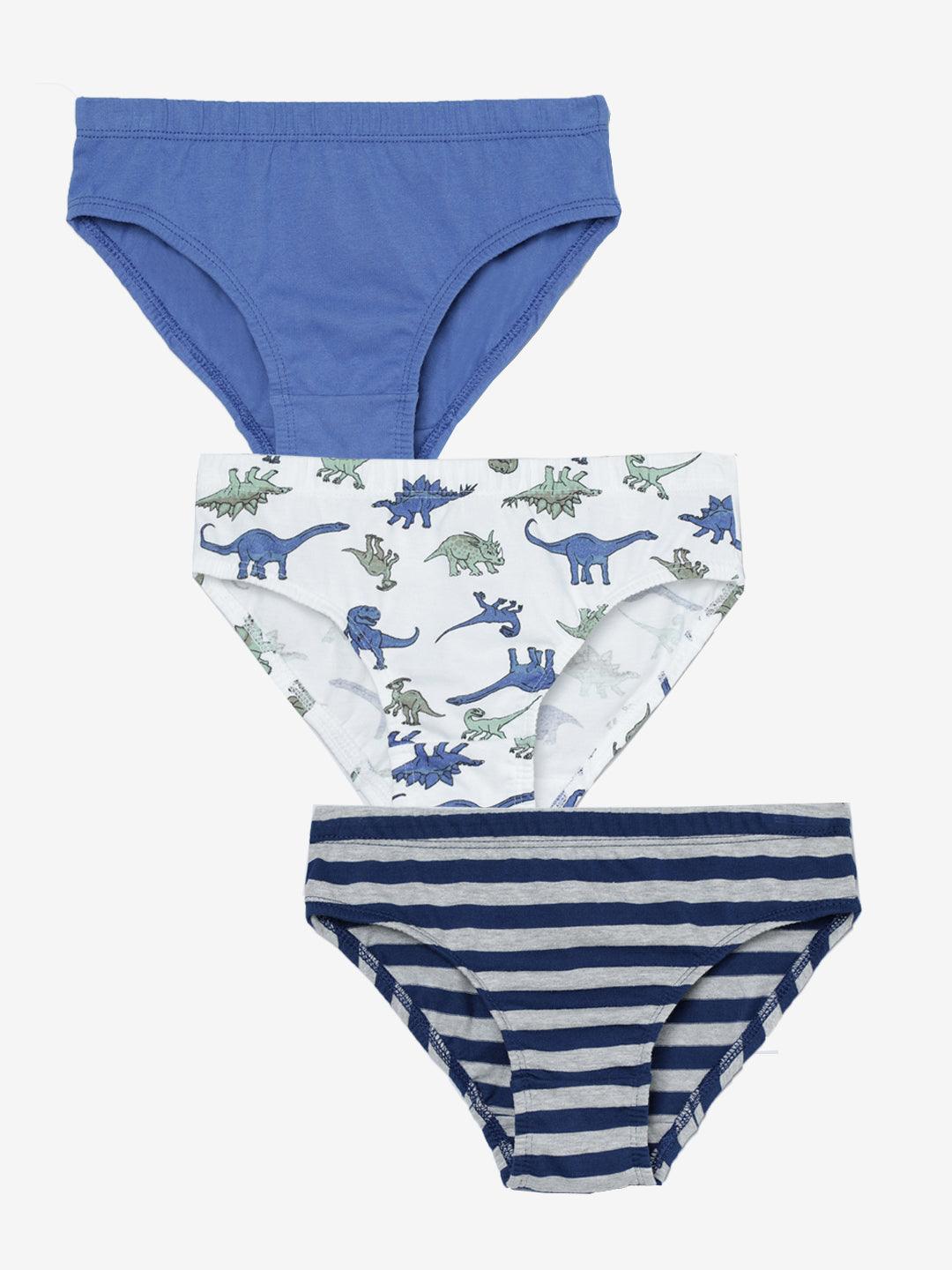 Boys Brief - Dino All Over Print & Solid Color Combo Pack Of 3.
