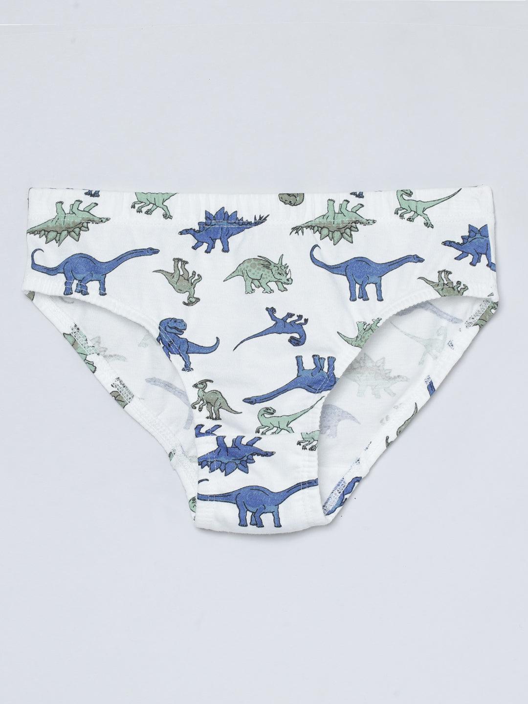 Boys Brief - Dino All Over Print & Solid Color Combo Pack Of 3.