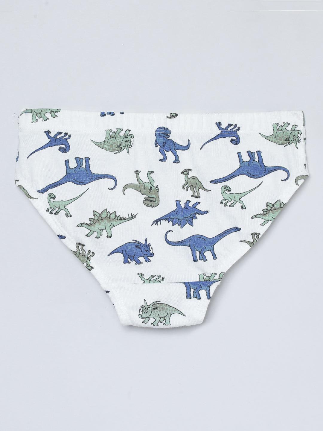 Boys Brief - Dino All Over Print & Solid Color Combo Pack Of 3.