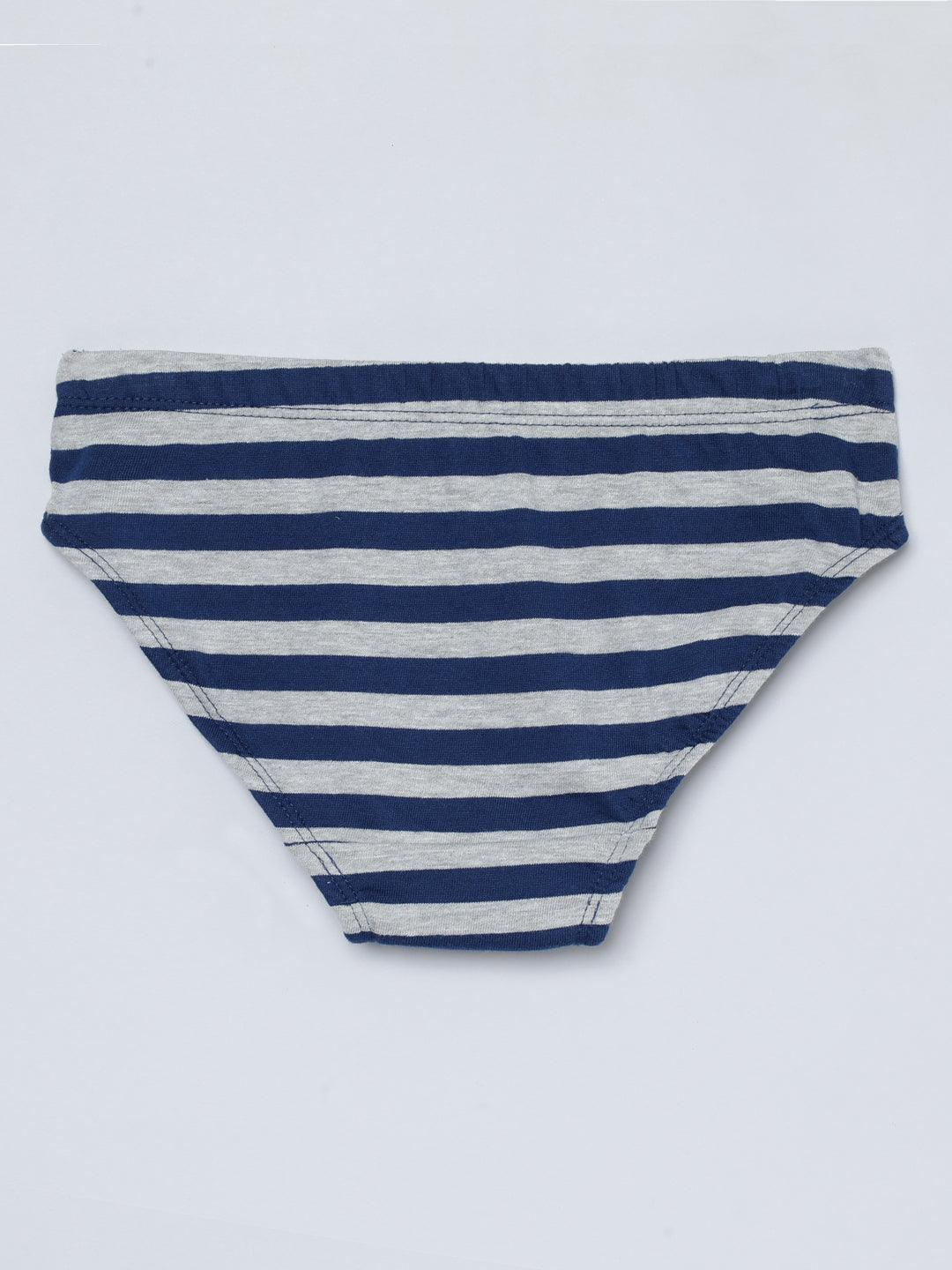 Boys Brief - Dino All Over Print & Solid Color Combo Pack Of 3.