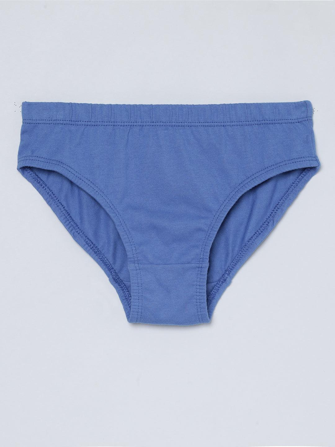 Boys Brief - Dino All Over Print & Solid Color Combo Pack Of 3.