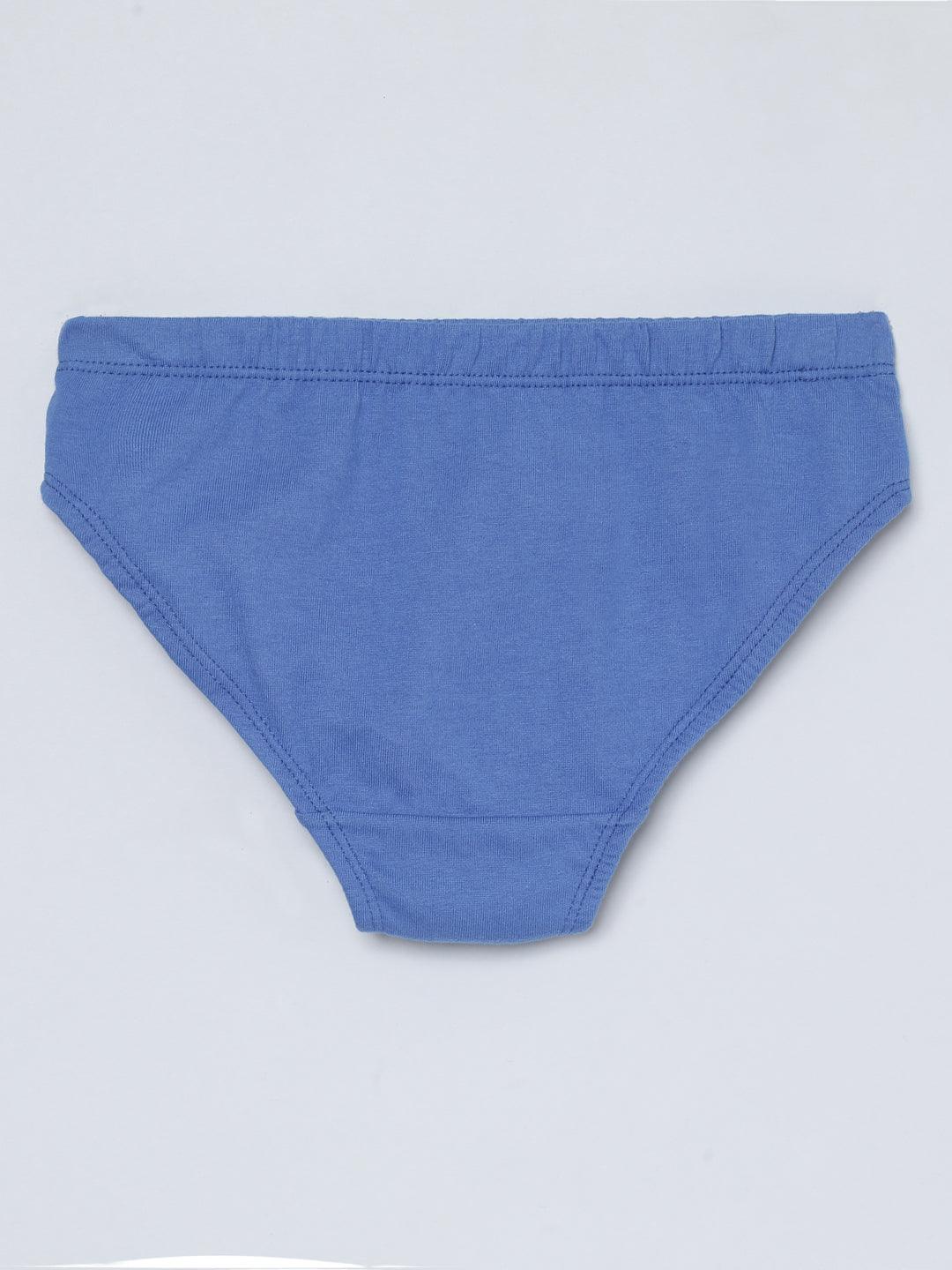Boys Brief - Dino All Over Print & Solid Color Combo Pack Of 3.