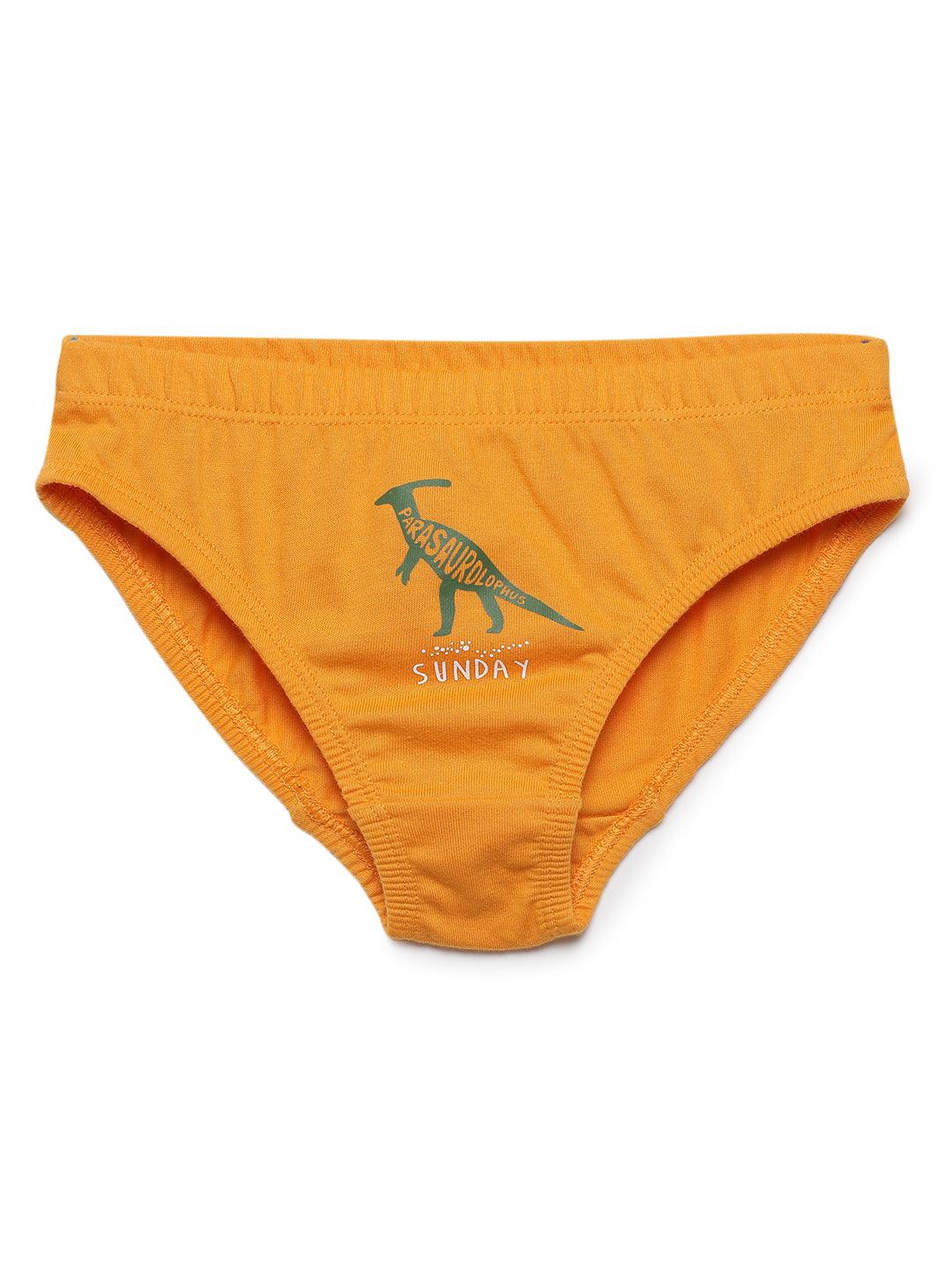 Boys Brief - Weekdays Dino Print (Pack of 7).