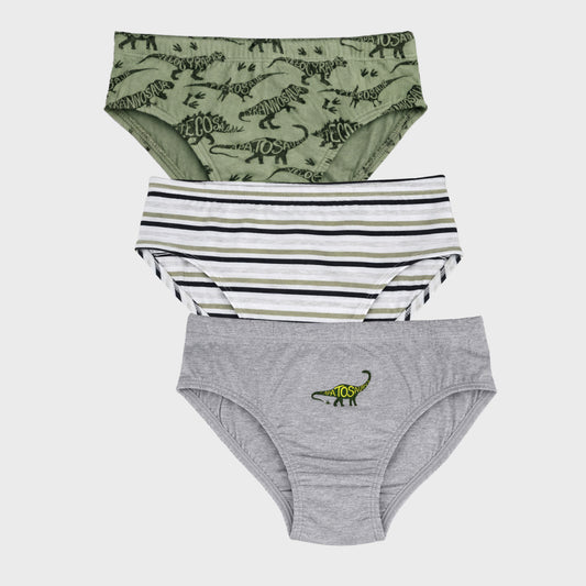 CharmnCherish Boys' Dino Printed Cotton Brief - Pack Of 3 for 2-16 Years