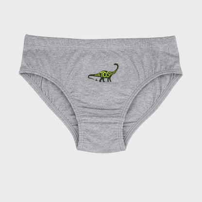 CharmnCherish Boys' Dino Printed Cotton Brief - Pack Of 3 for 2-16 Years - front view