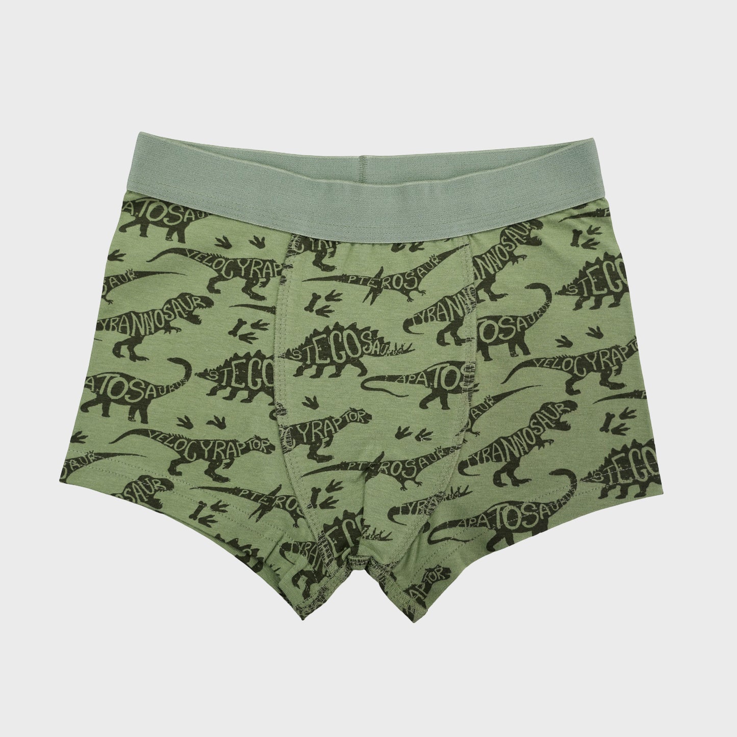 Boys' Cotton Trunk -DINO All Over Print Pack Of 2