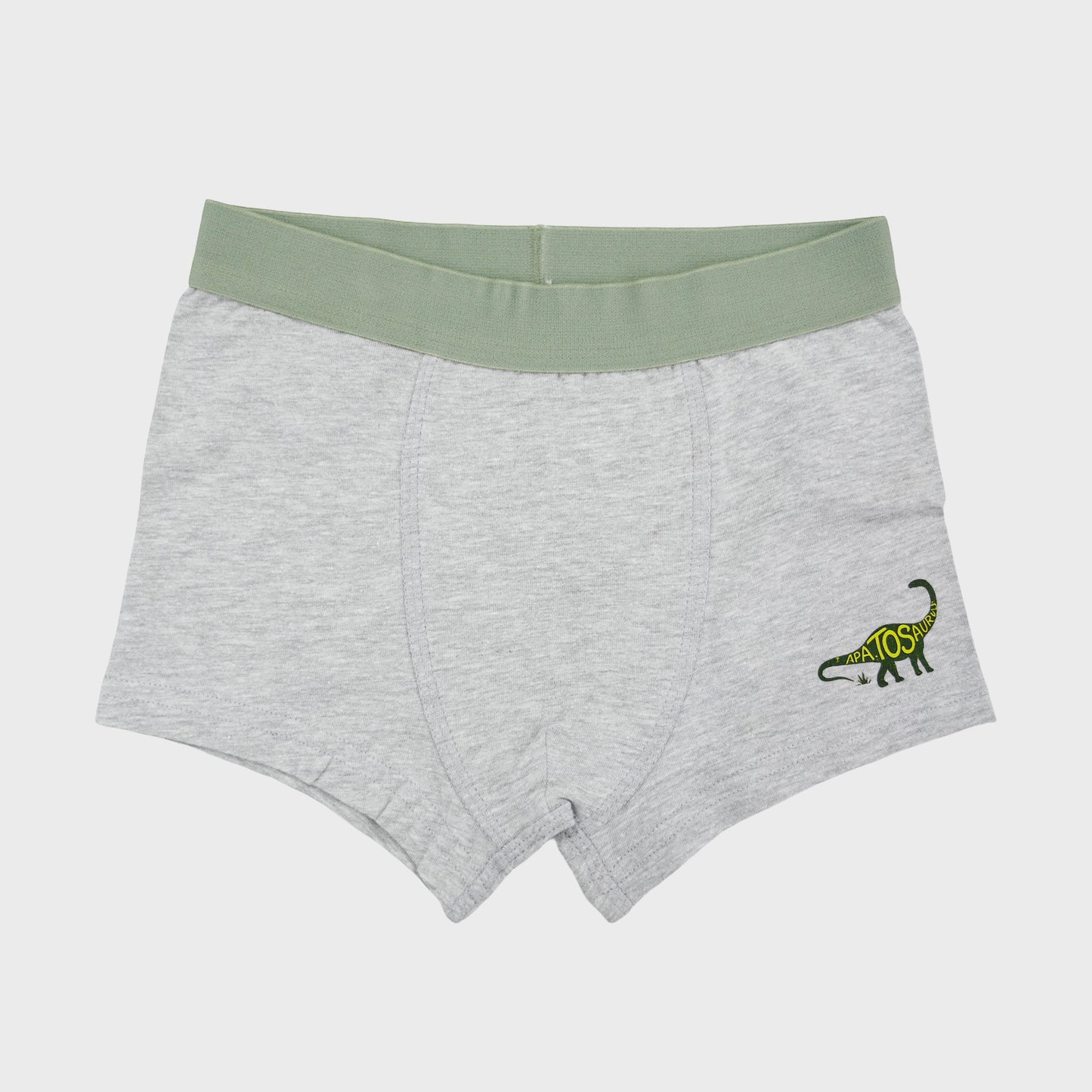 Boys' Cotton Trunk -DINO All Over Print Pack Of 2