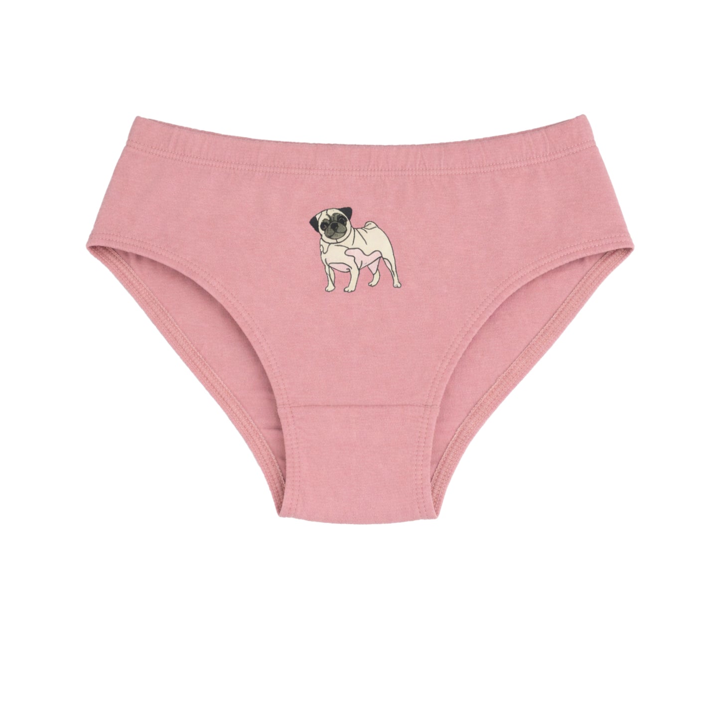 Charm N Cherish Boys Cotton Briefs (Pack of 6) | Cute Shark & Pug Dog Printed Underwear Combo for Kids