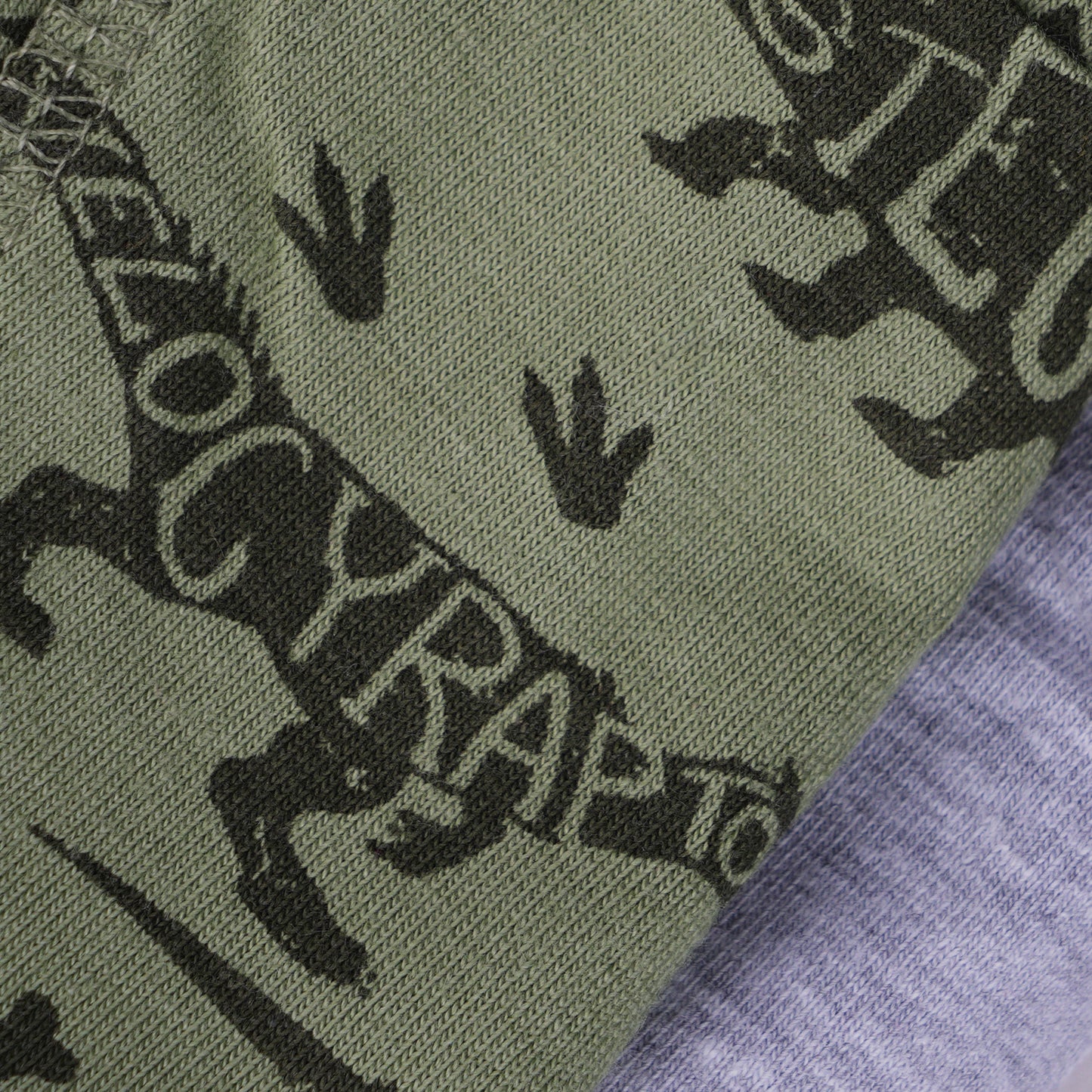 Boys' Cotton Trunk -DINO All Over Print Pack Of 2