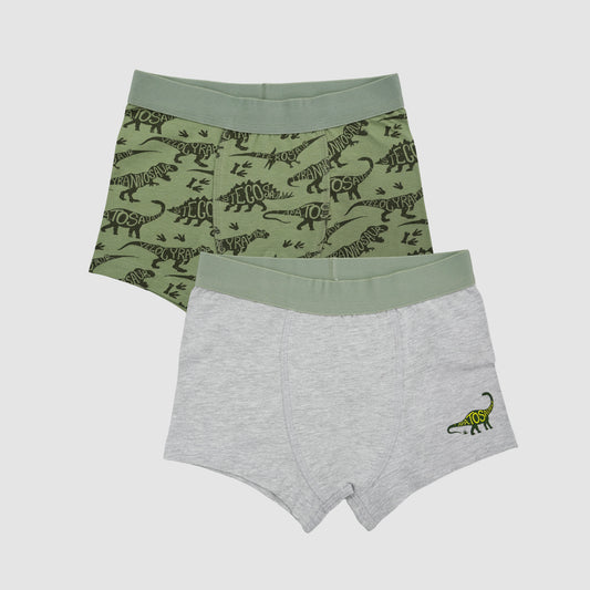 Boys' Cotton Trunk -DINO All Over Print Pack Of 2