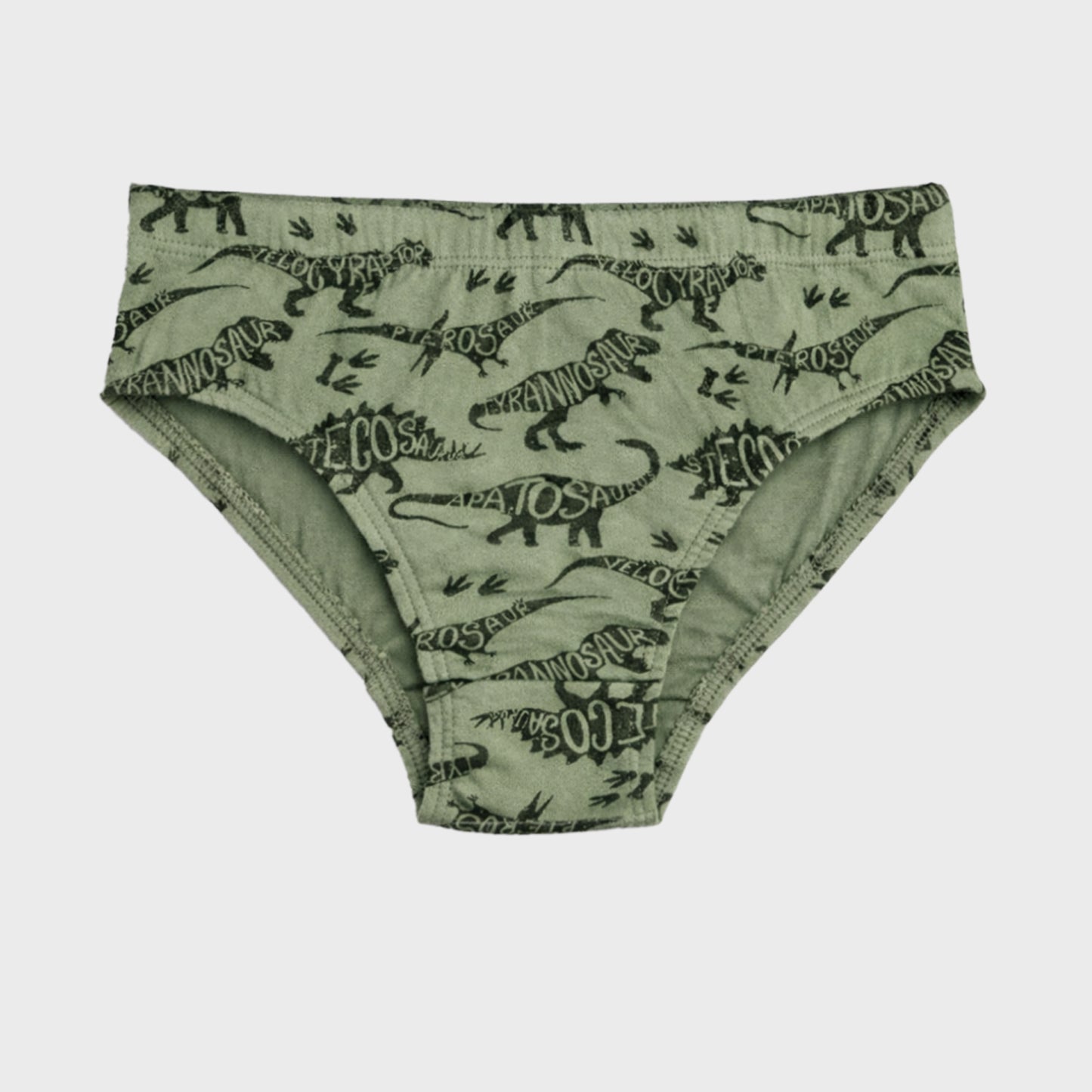 CharmnCherish Boys' Dino Printed Cotton Brief - Pack Of 3 for 2-16 Years - back view