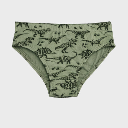 CharmnCherish Boys' Dino Printed Cotton Brief - Pack Of 3 for 2-16 Years - back view