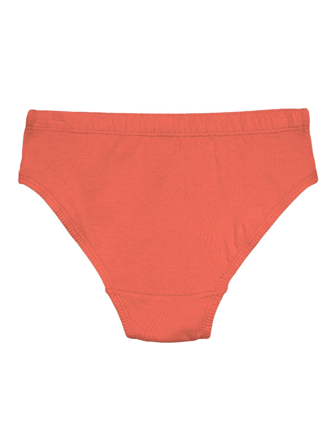 Boys Brief Dino All Over Print Pack Of 5