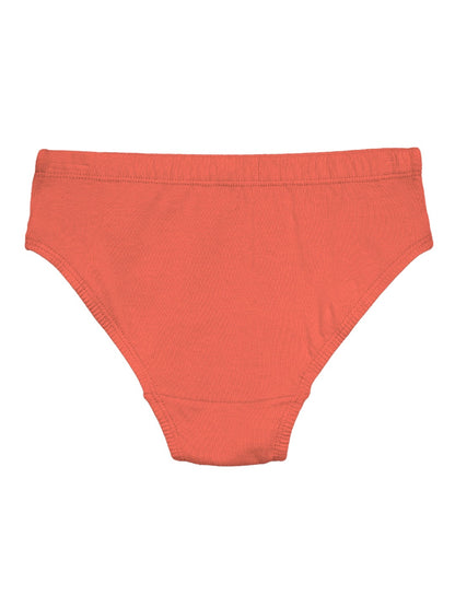 Boys Brief Dino All Over Print Pack Of 5