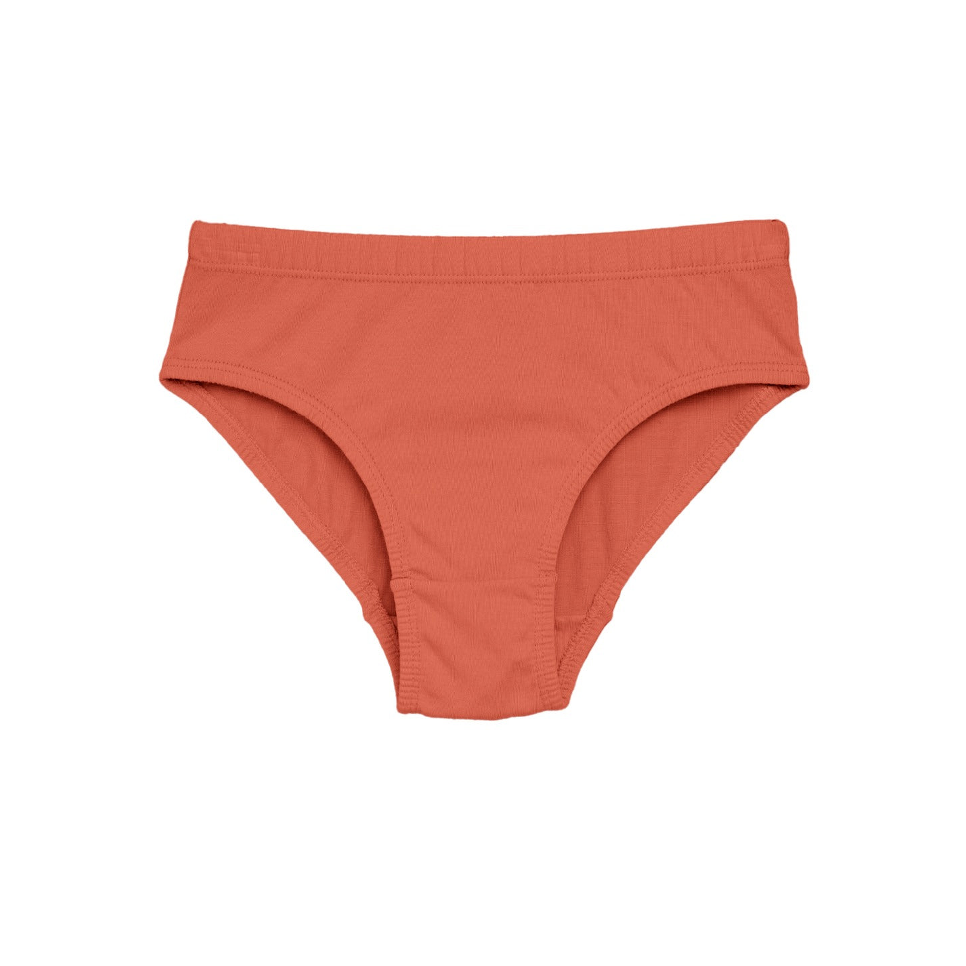 Boys' Cotton Brief Dino All Over Print Pack Of 5