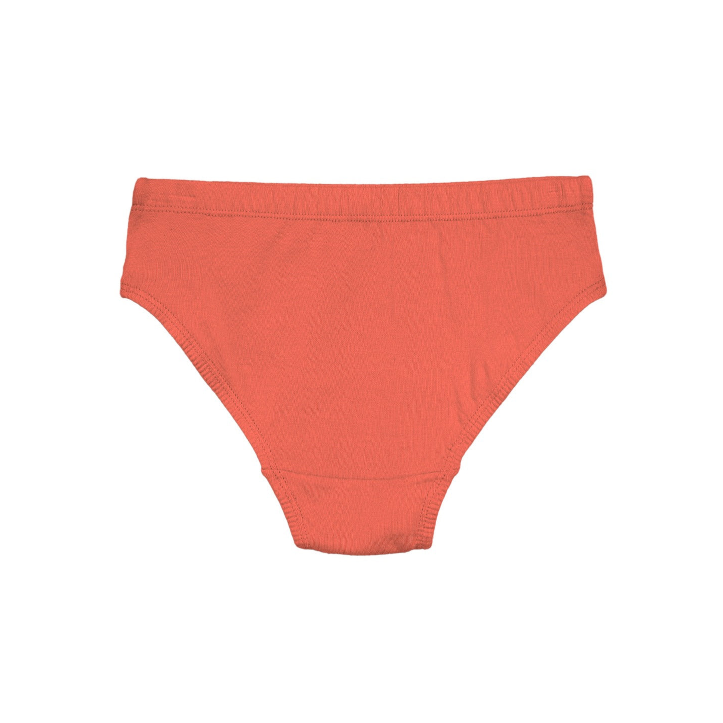Boys' Cotton Brief Dino All Over Print Pack Of 5