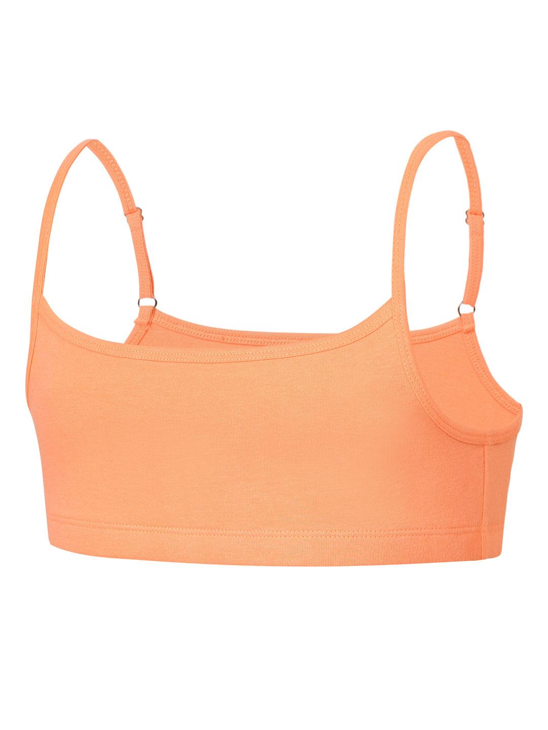 Beginners Bra - Multicolor (Pack of 5).